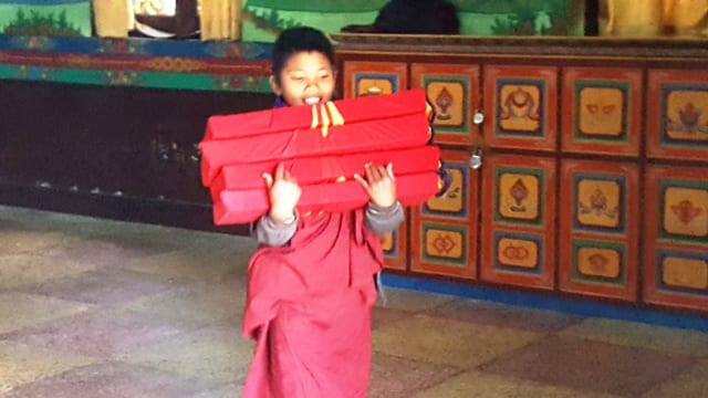 Jaukioji Tso Pema 2017 | Drikung Kagyu vienuolynas